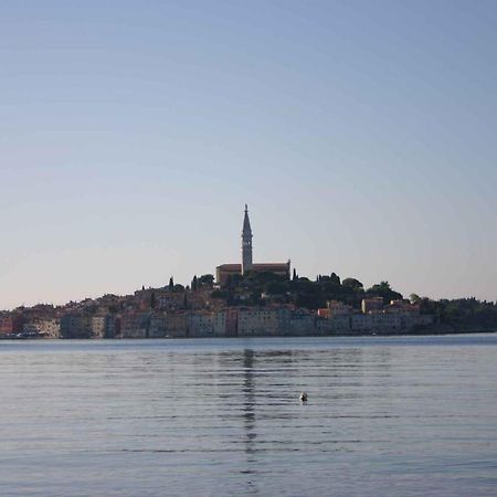 Apartment In Rovinj/Istrien 11533 Extérieur photo